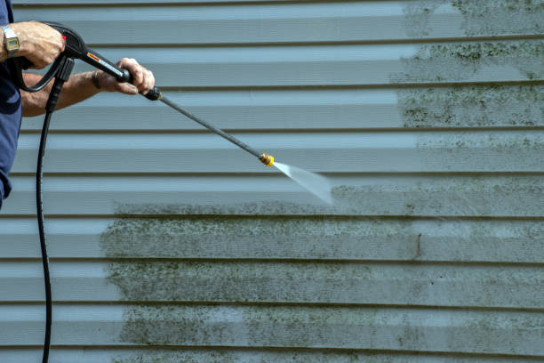Best Parking Lot Cleaning in Luray, VA