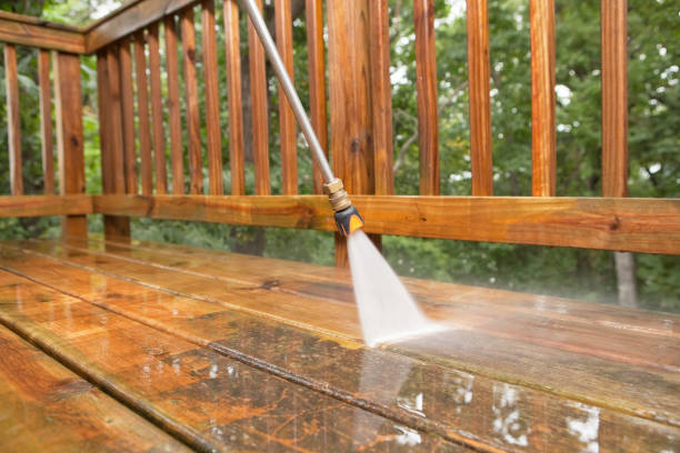 Best Roof Cleaning and Mildew Removal in Luray, VA